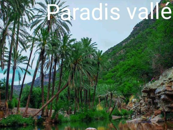 Agadir n'Ait Sa Residence Tafoult Imiouadar Pres De Taghazout Agadir מראה חיצוני תמונה